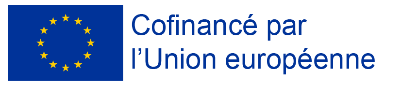 Emblème UE base Mentions Cofinancé Bleu